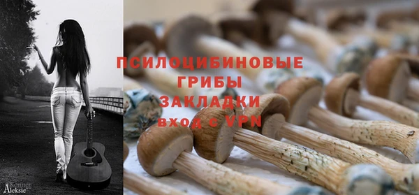 молекула духа Мегион