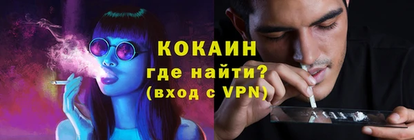 молекула духа Мегион