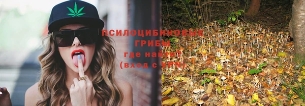 спиды Медвежьегорск