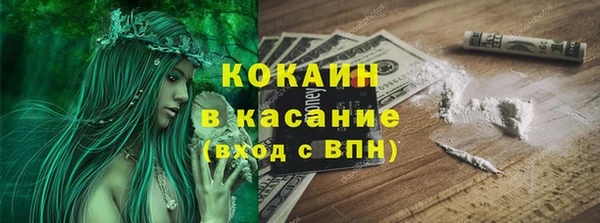 индика Ачинск