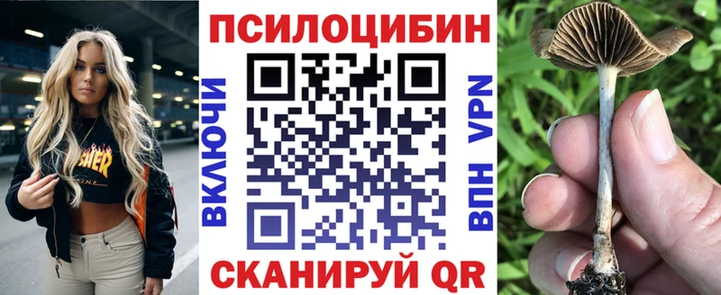 Псилоцибиновые грибы GOLDEN TEACHER  Хилок 